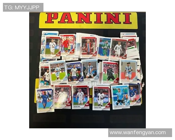 足球明星卡卡卡片全景展示及收藏指南让你一览无余